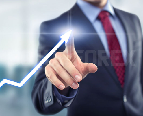 دستور حد سود